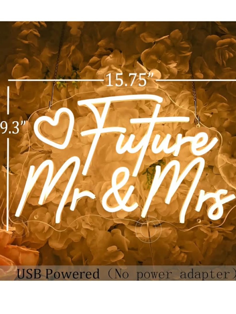 Warm White "Future Mr & Mrs" LED Neon Sign USB powered no power adapter included